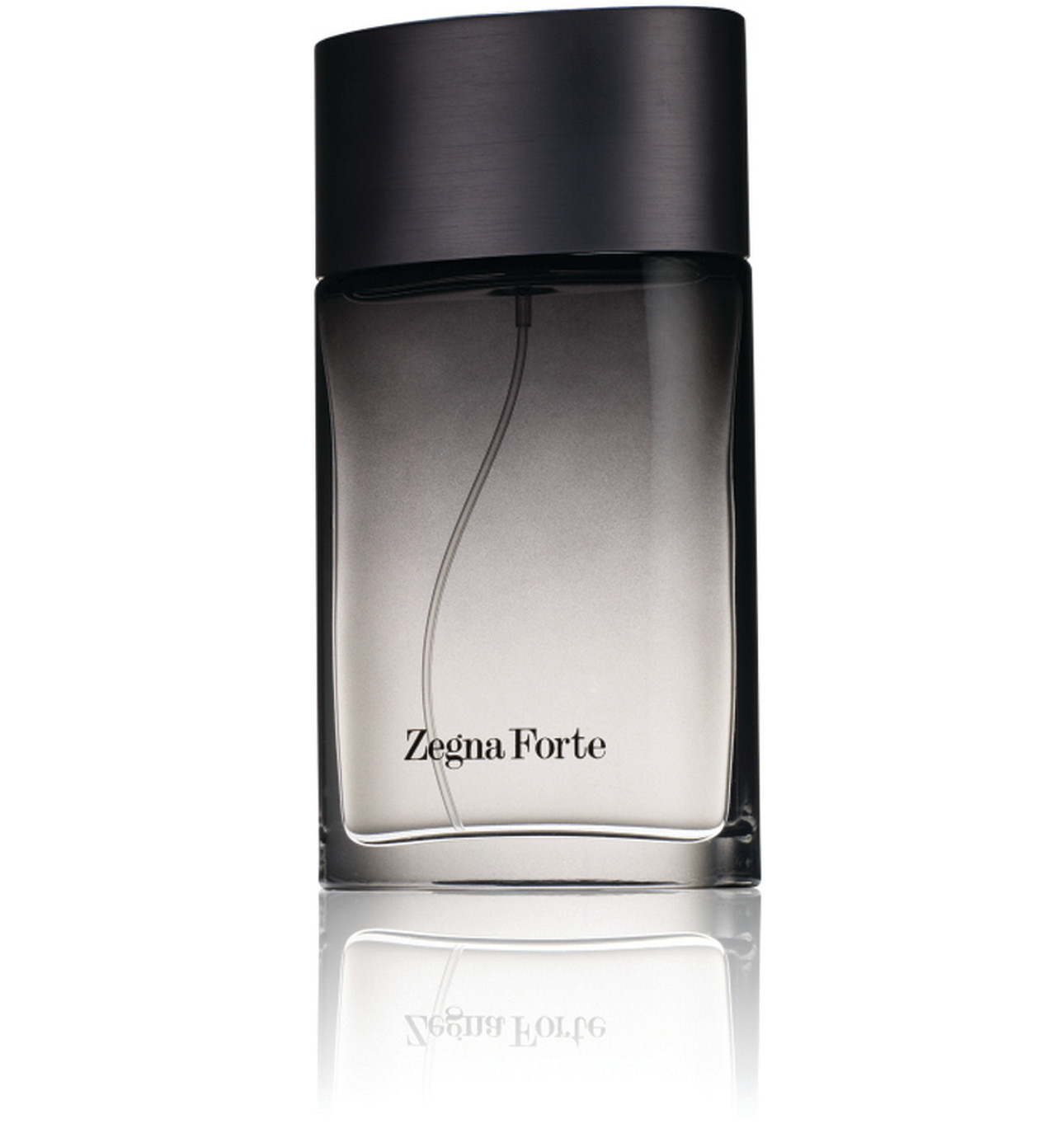 ERMENEGILDO ZEGNA FORTE EDT (M) TESTER 100ML – Luxury Perfume Malaysia